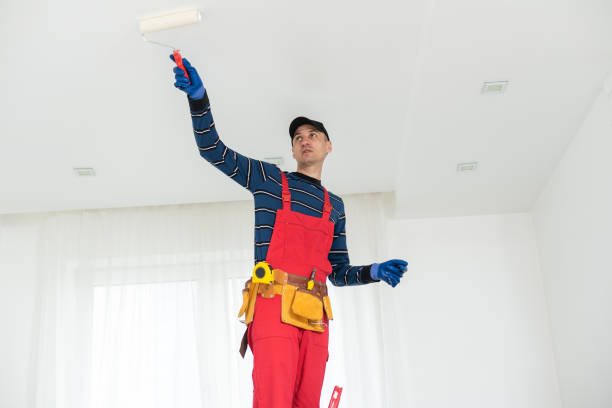 Best Indoor Air Quality Assessment  in Lone Star, TX