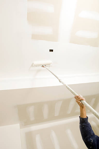 Best Air Quality Testing for Mold Spores  in Lone Star, TX