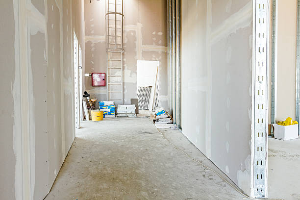 Best Crawl Space Mold Remediation  in Lone Star, TX